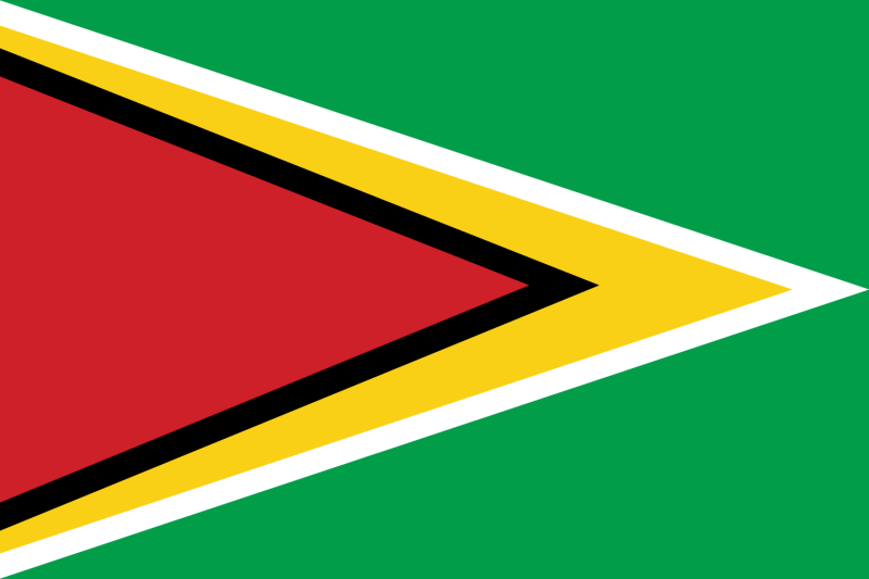 Flag-of-Guyana-01-1
